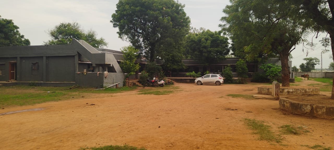 WhatsApp Image 2026-01-13 at 12.07.32 PM (1)